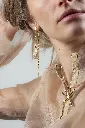 LINDA-E-GP + ASTER-N-GP.webp