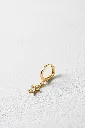 STAR_M-G (1).webp