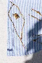 COLETTEXS-N-G (2).webp