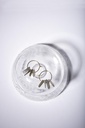 OLIVIO - BOUCLES D'OREILLES | Gold Grey